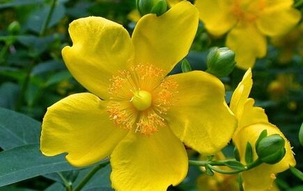 How to increase power with folk remedies