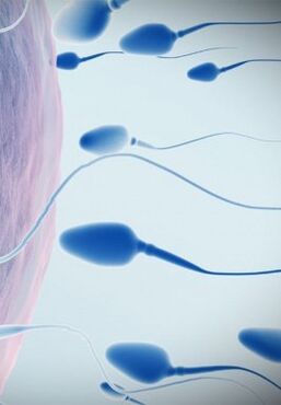 Spermogram for low power