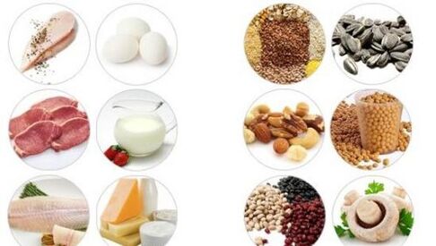 Products rich in animal and vegetable proteins for male potency
